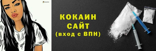 соль ск Алексин