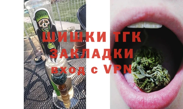 соль ск Алексин