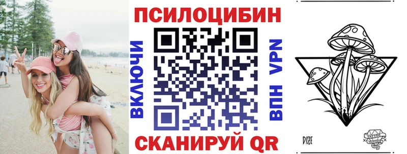 Псилоцибиновые грибы Psilocybe  где купить   Арсеньев 