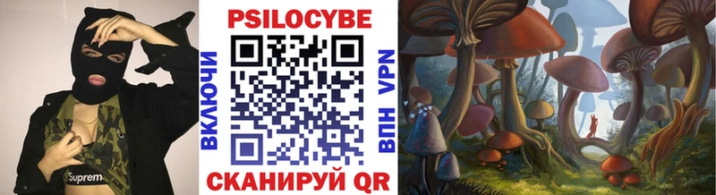 Галлюциногенные грибы Psilocybine cubensis Арсеньев