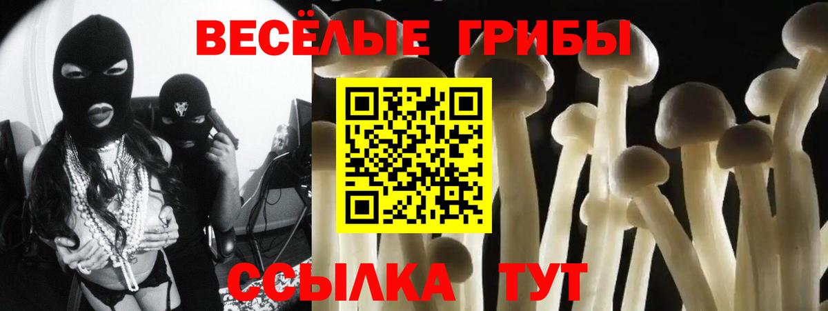 Арсеньев  Галлюциногенные грибы Psilocybe  Вход с VPN 
